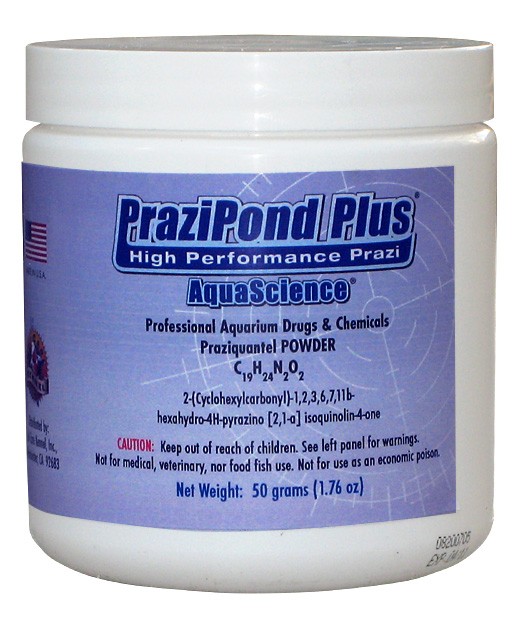 (image for) PraziPond Plus